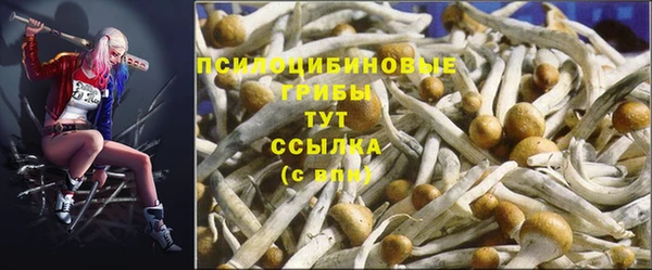 MDMA Premium VHQ Каменск-Шахтинский