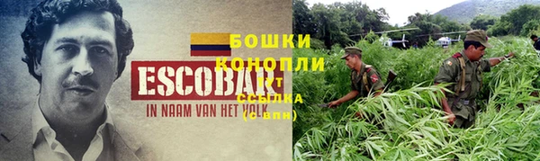 винт Карпинск