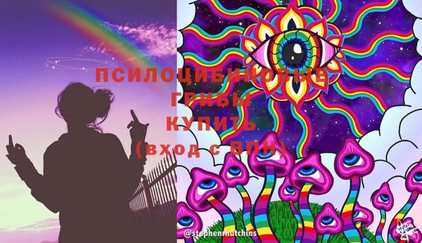 мескалин Каменка