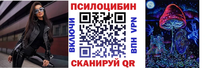 Купить где  Гаджиево  Псилоцибиновые грибы прущие грибы 